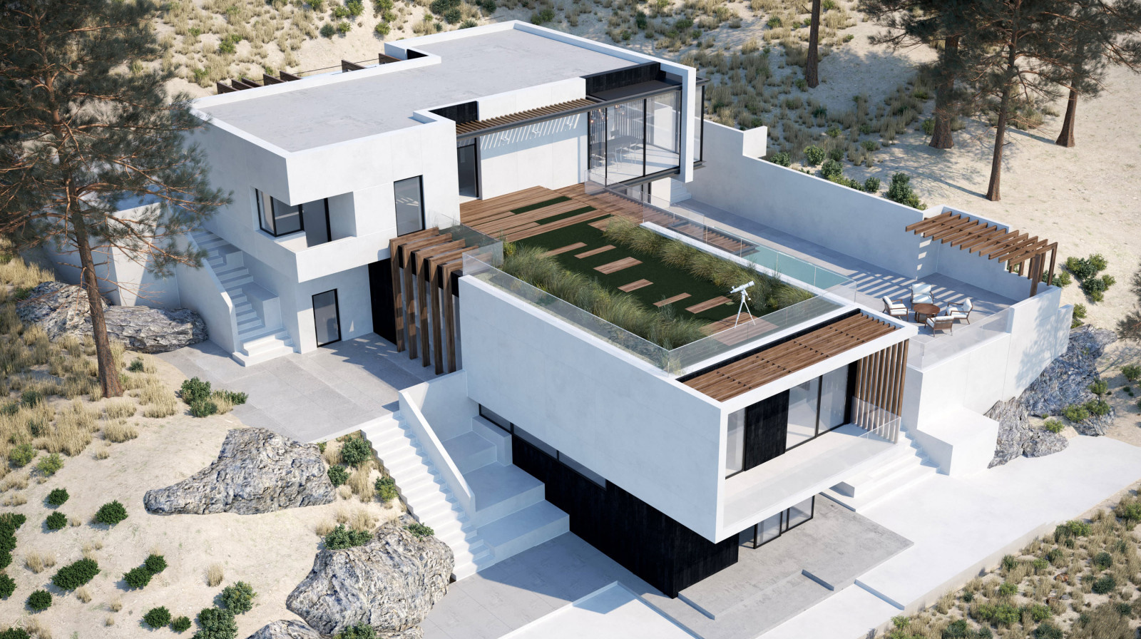 HOUSE GRASS