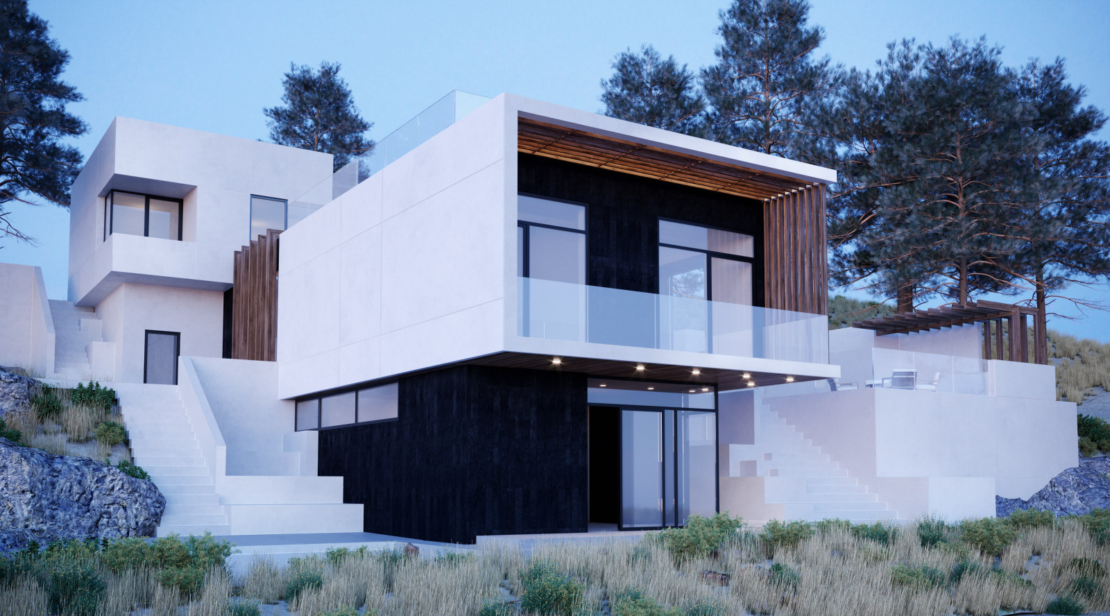 HOUSE GRASS