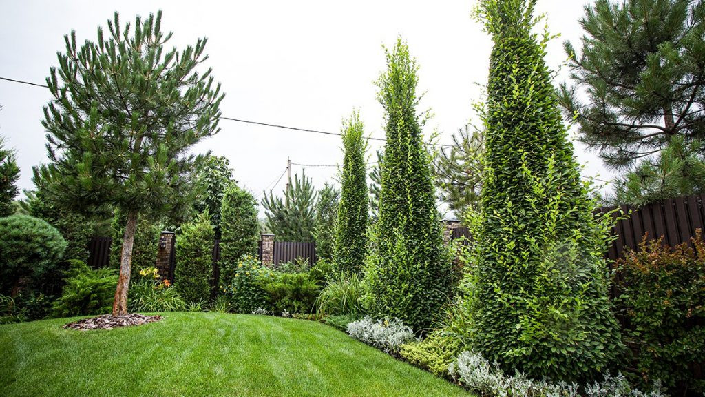 4 СЕЗОНА, студия ландшафтного дизайна