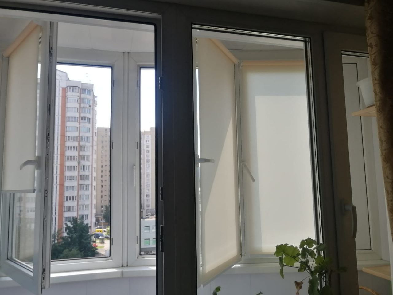 Шторы2022