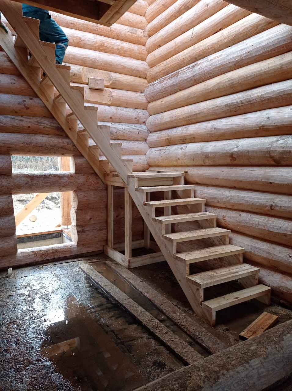 Игорь Гауда