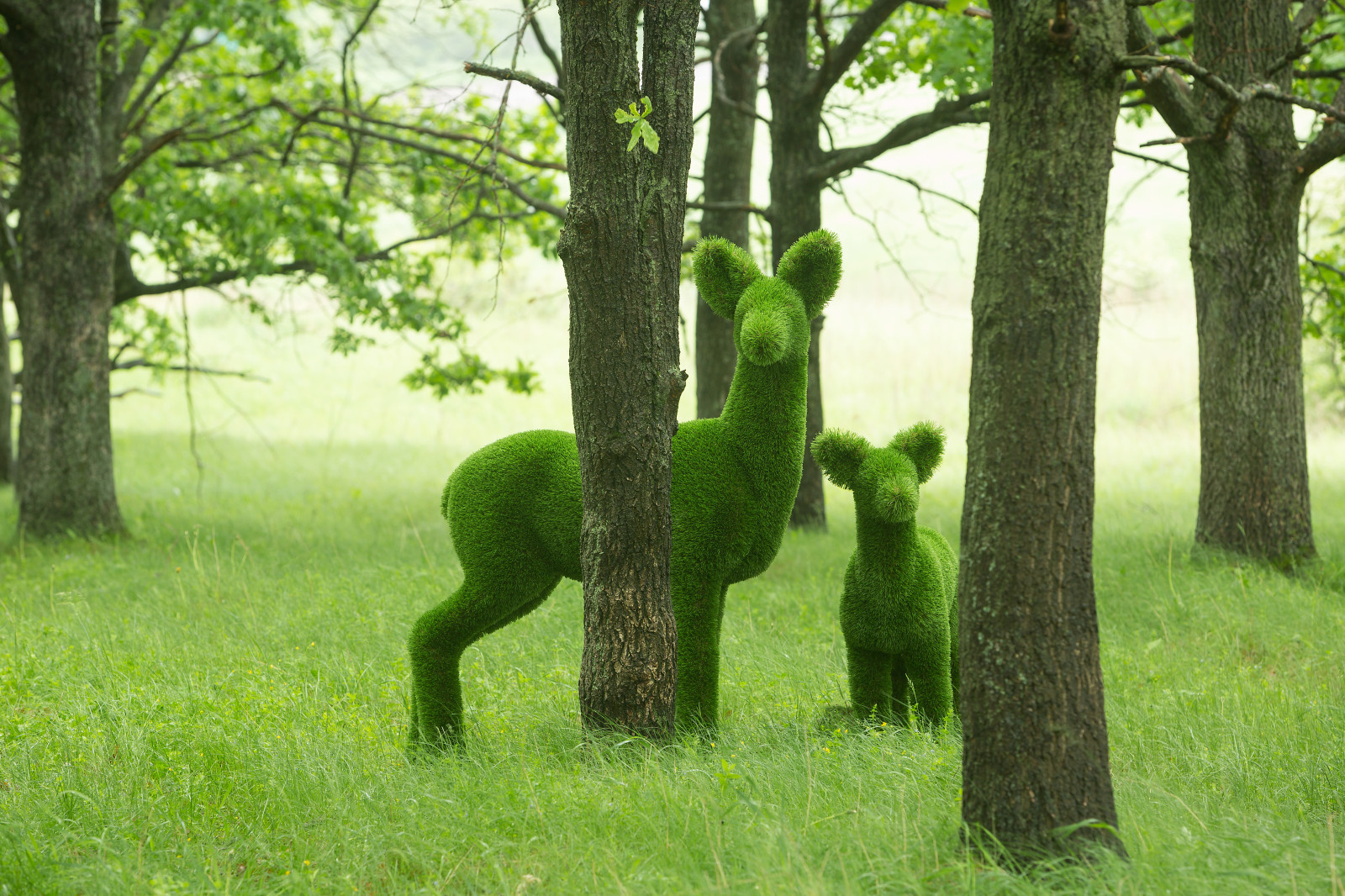 Отдел Маркетинга