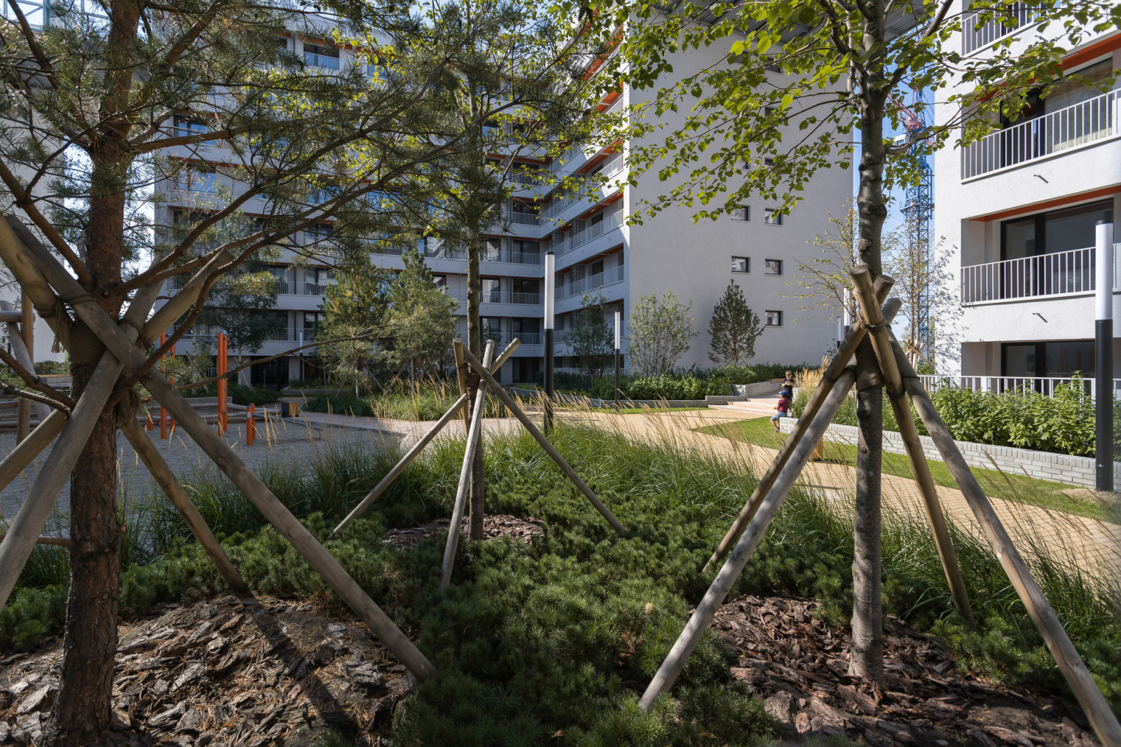 Анна Ильиных