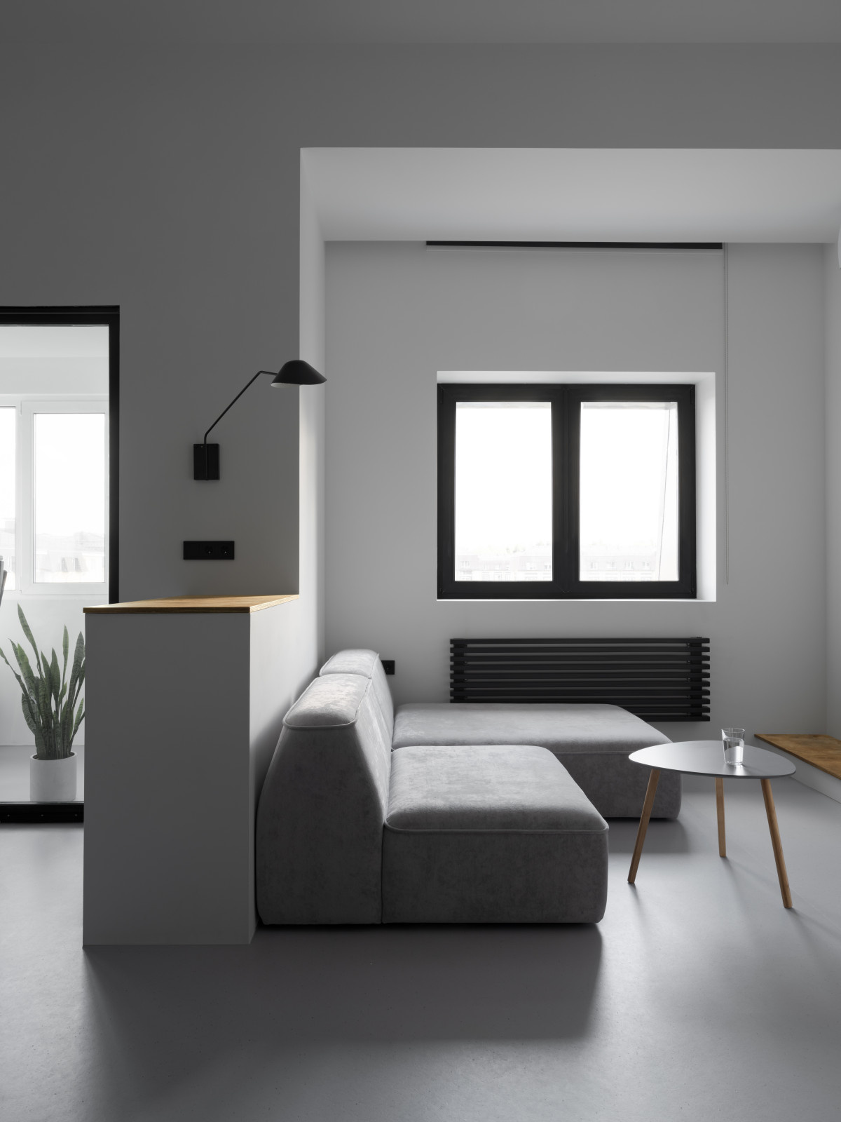 Duplex apartment