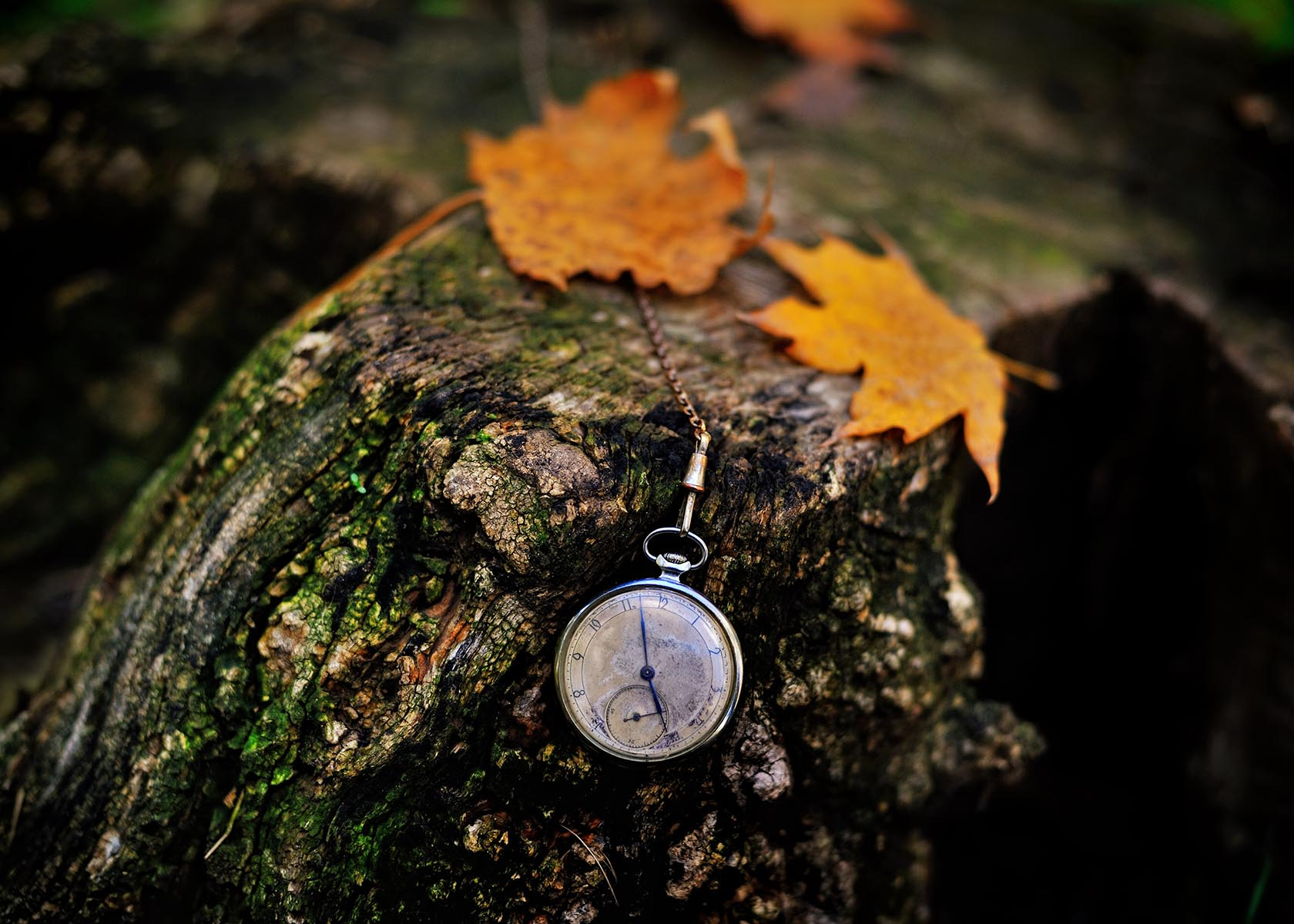 Авторские интерьерные фотокартины