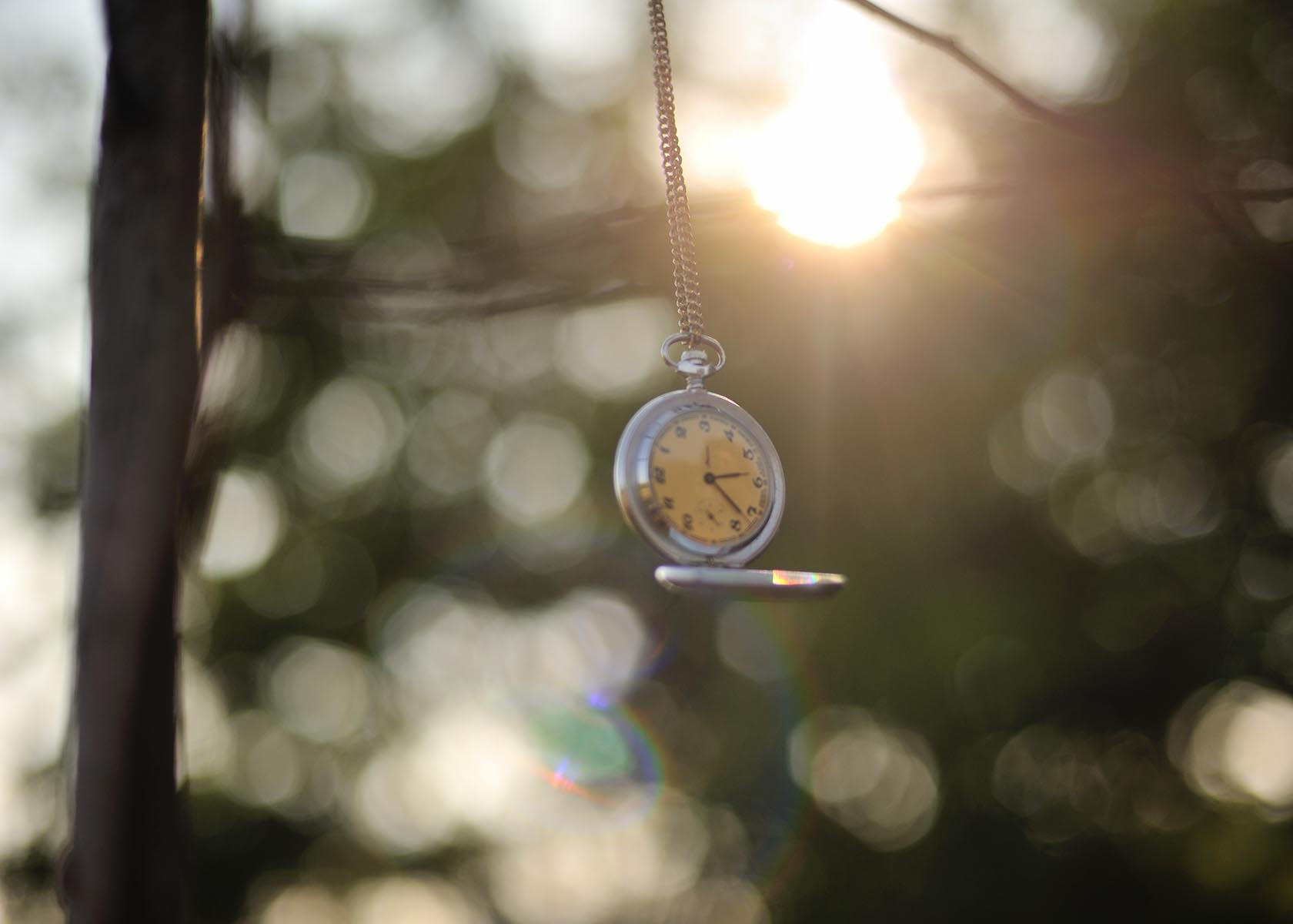 Авторские интерьерные фотокартины