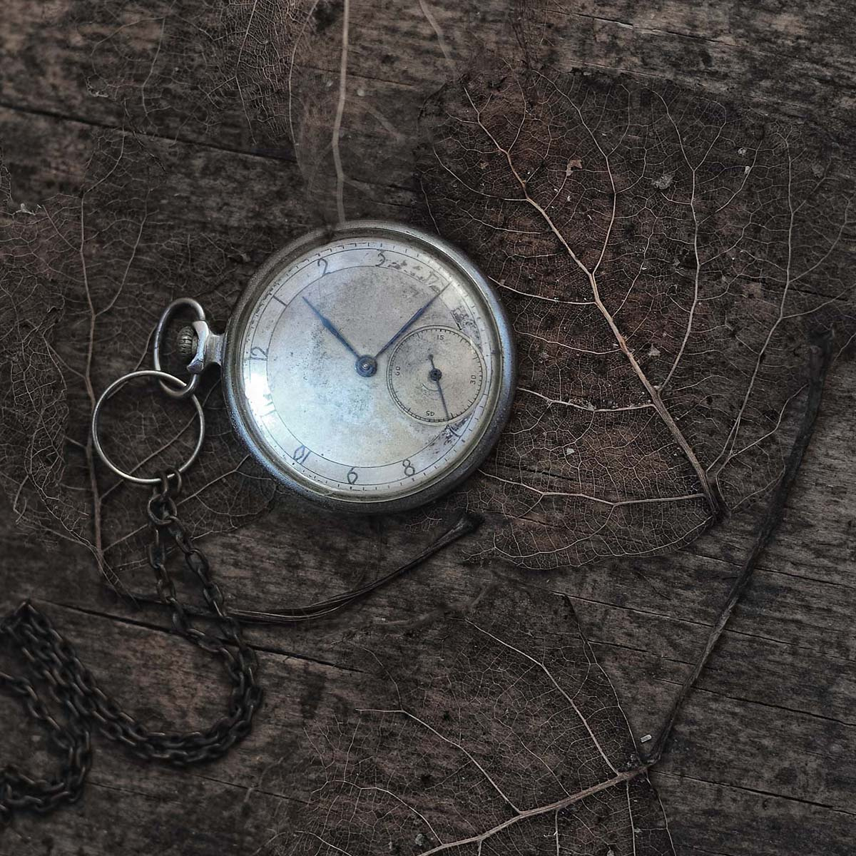 Авторские интерьерные фотокартины