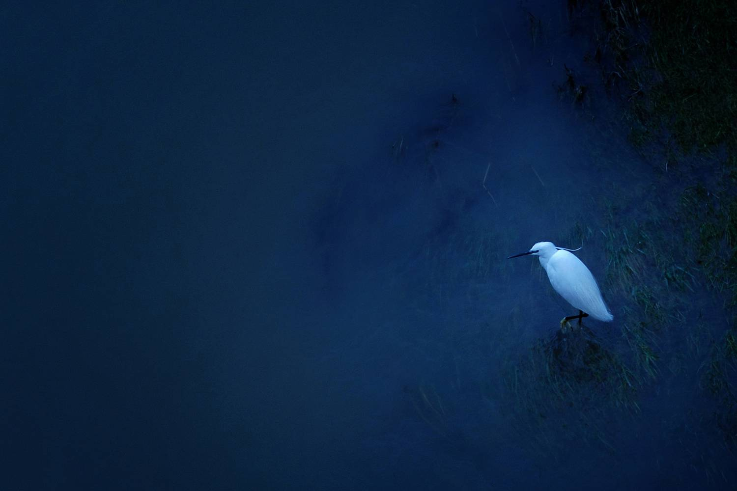 Авторские интерьерные фотокартины