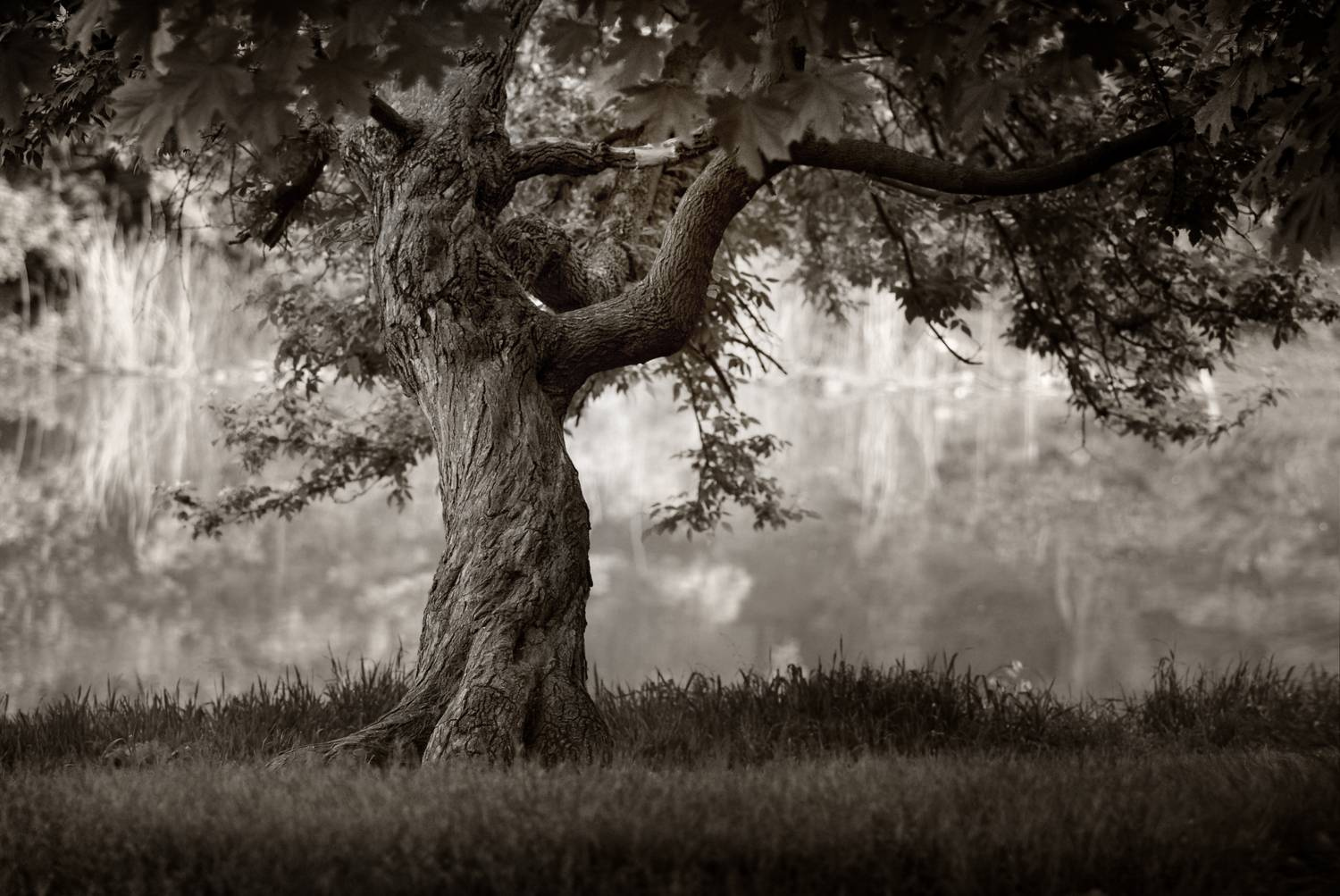 Авторские интерьерные фотокартины