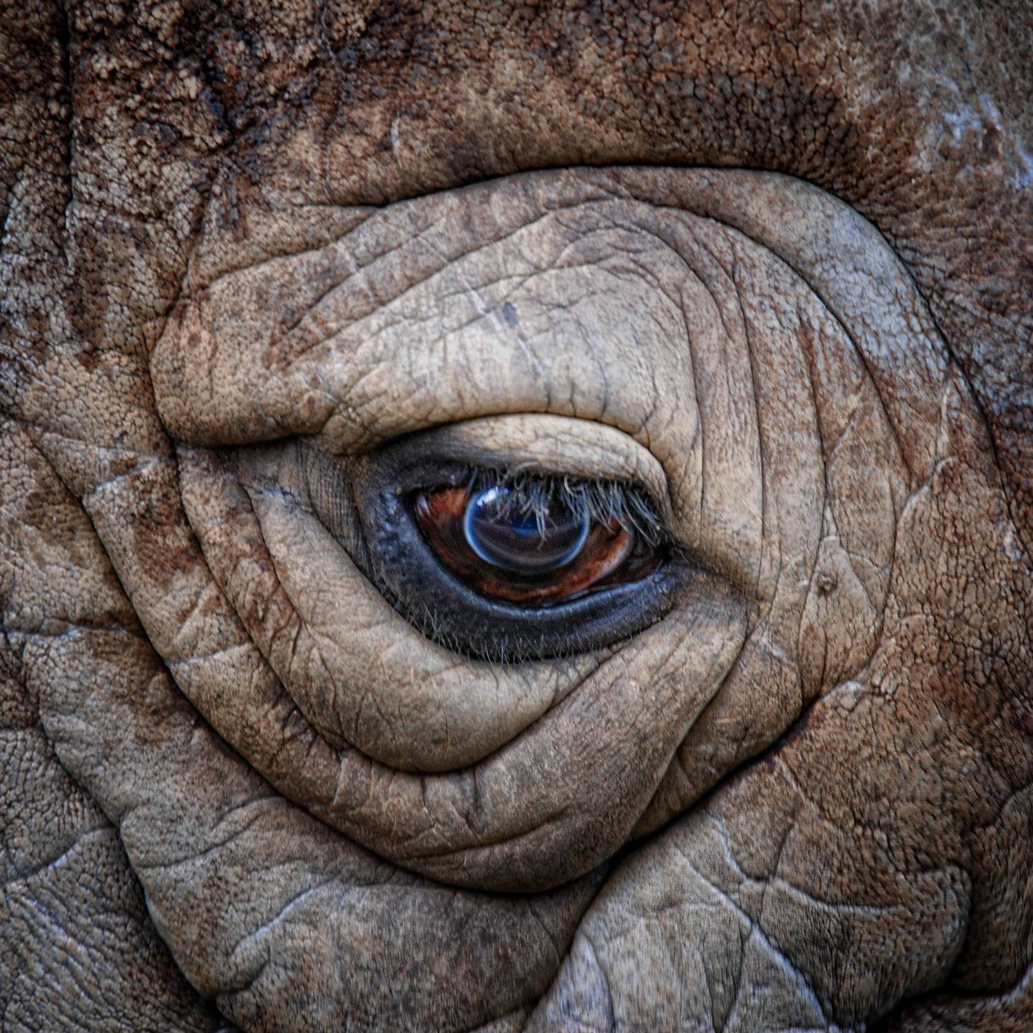 Авторские интерьерные фотокартины