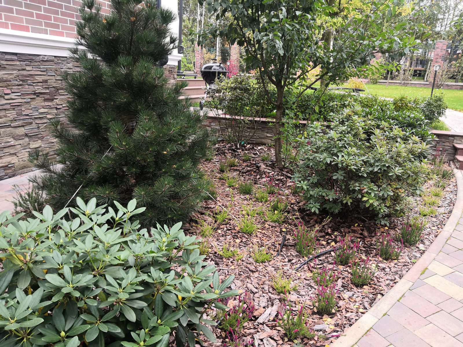 Landscape design of the territory (Moscow region, Sareevo village)