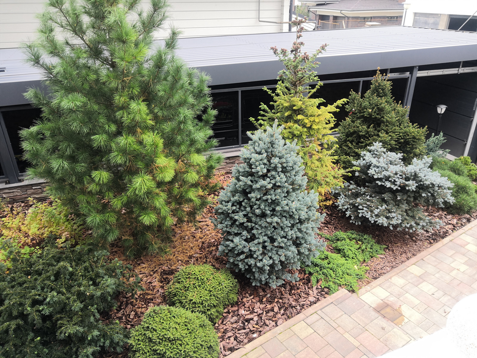 Landscape design of the territory (Moscow region, Sareevo village)