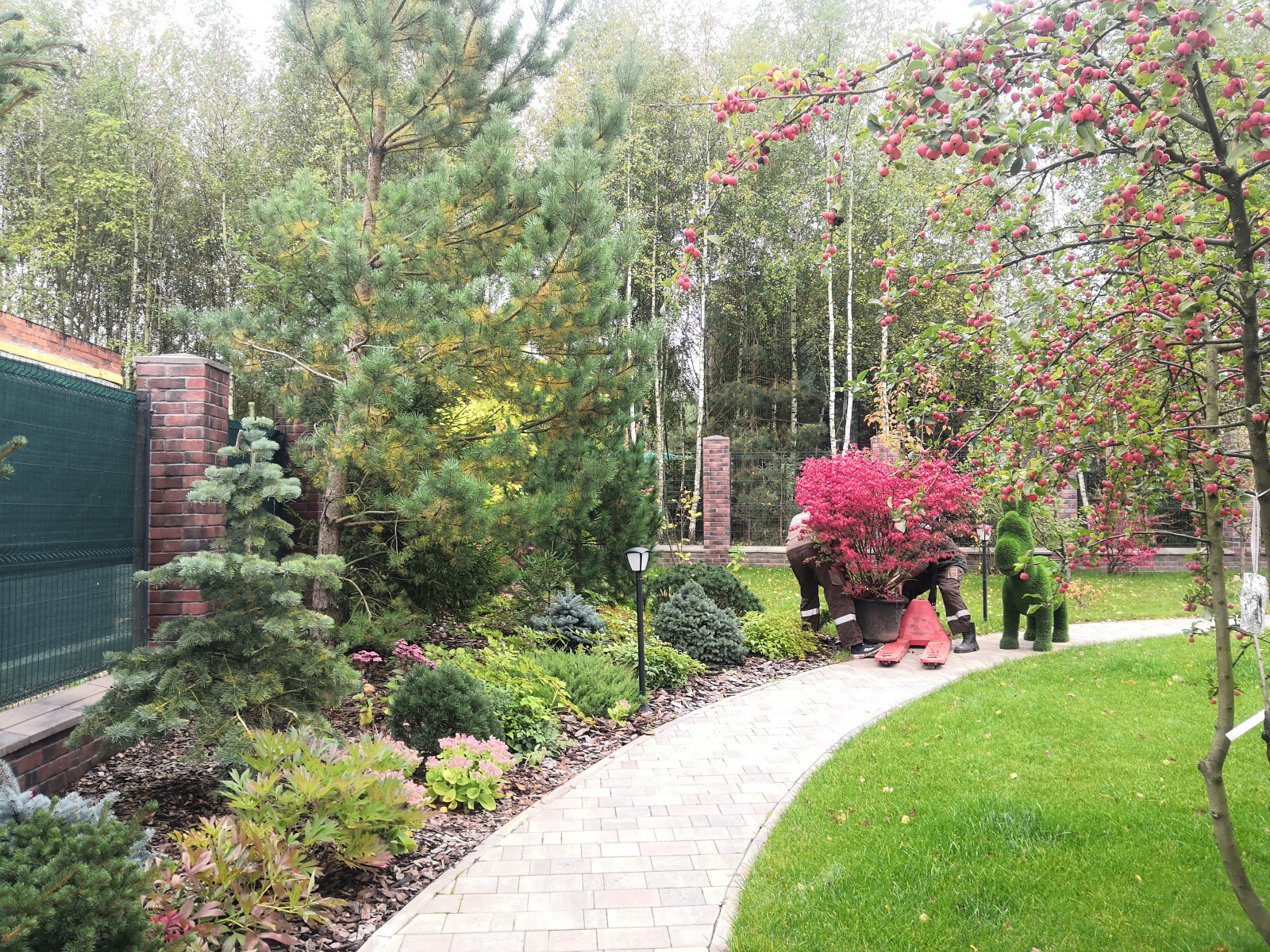 Landscape design of the territory (Moscow region, Sareevo village)