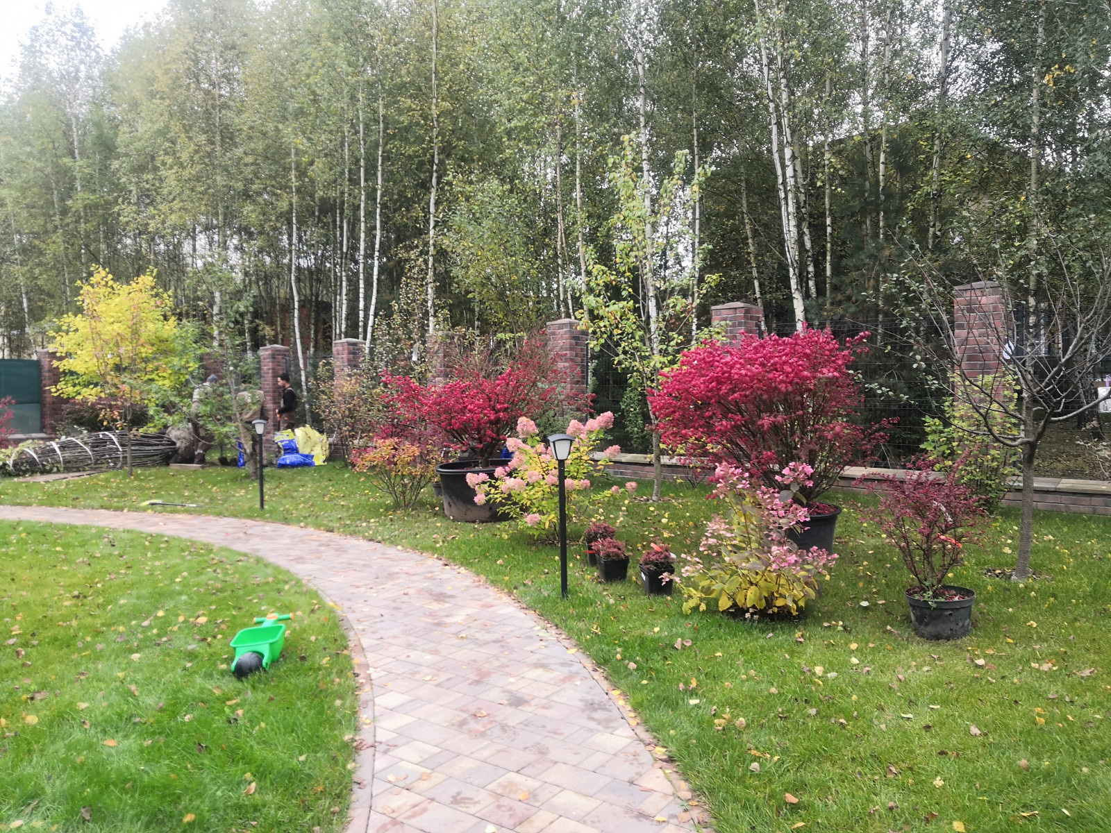 Landscape design of the territory (Moscow region, Sareevo village)