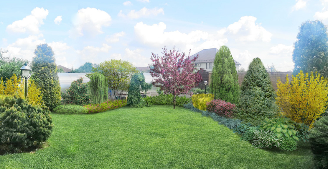 Perspective views (landscaping)