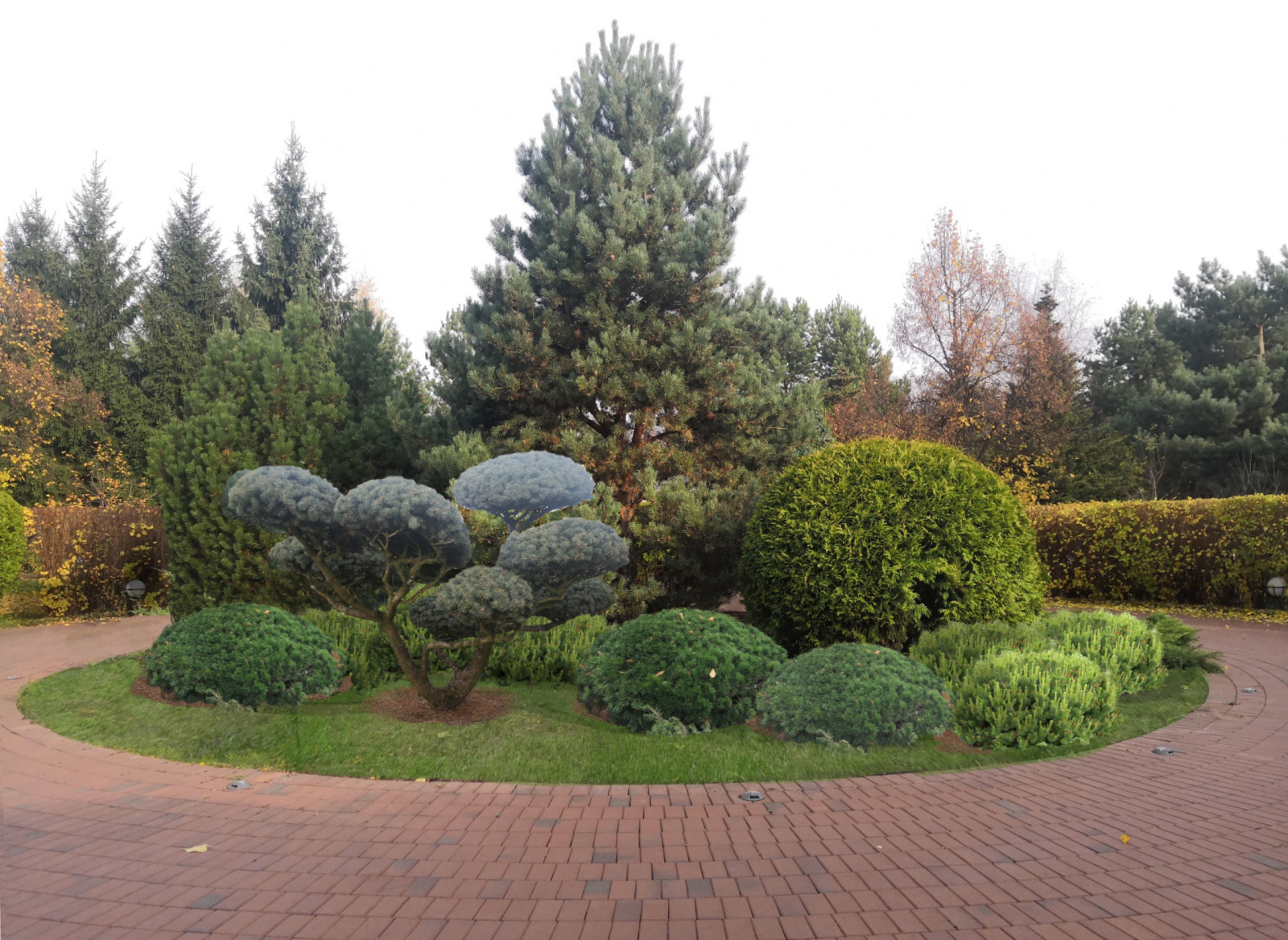 Perspective views (landscaping)