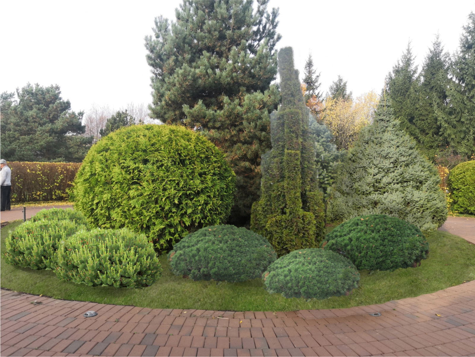 Perspective views (landscaping)