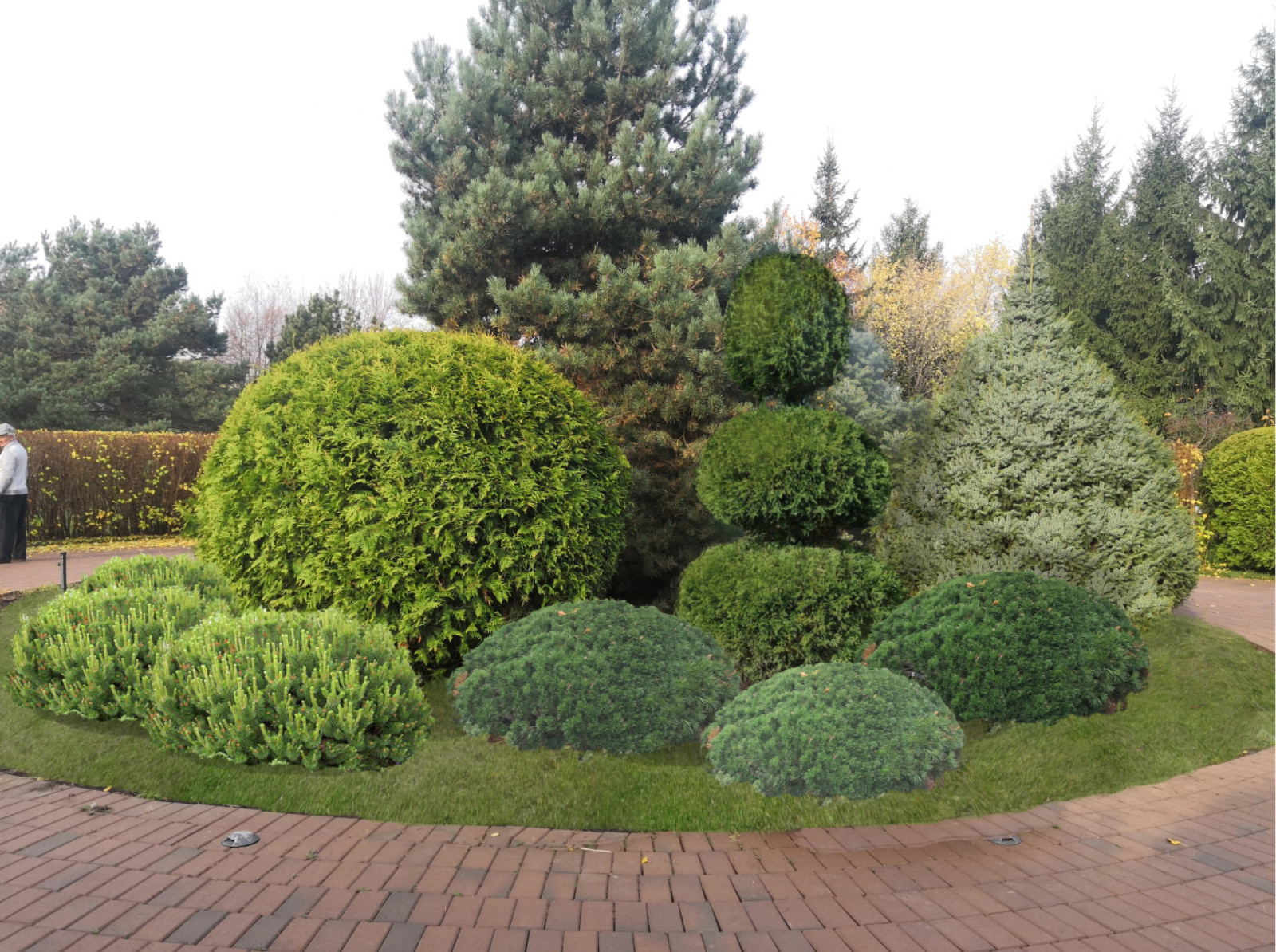 Perspective views (landscaping)