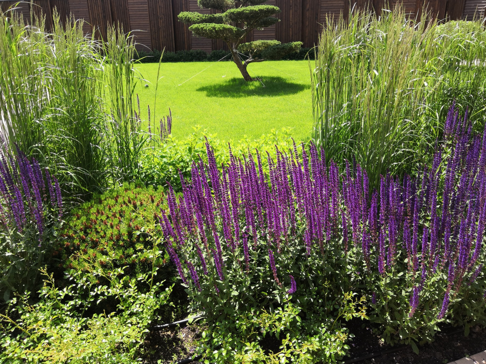 Landscape design of the territory (Moscow region, Green Grove village)