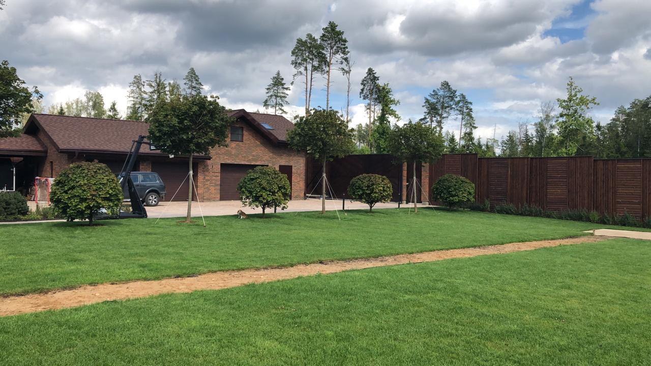 Landscape design of the territory (Moscow region, Green Grove village)