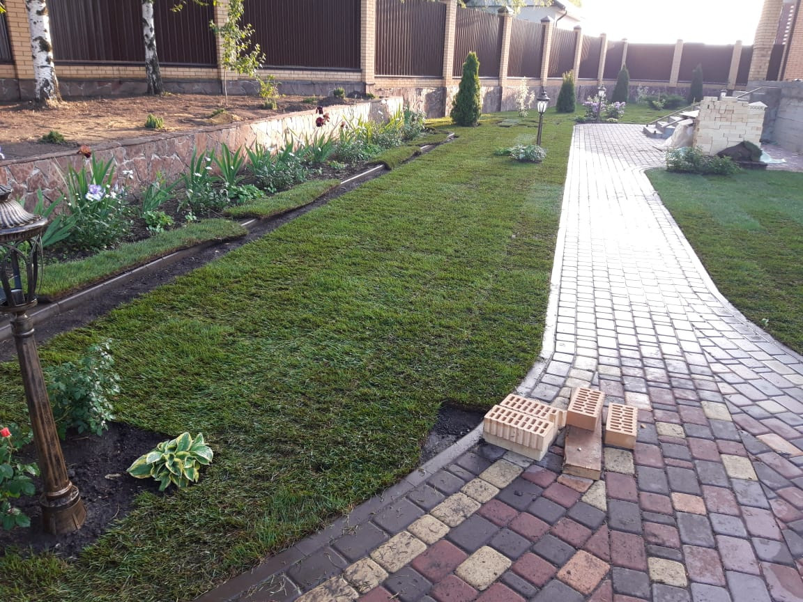 Landscape design of the territory (Oryol region)