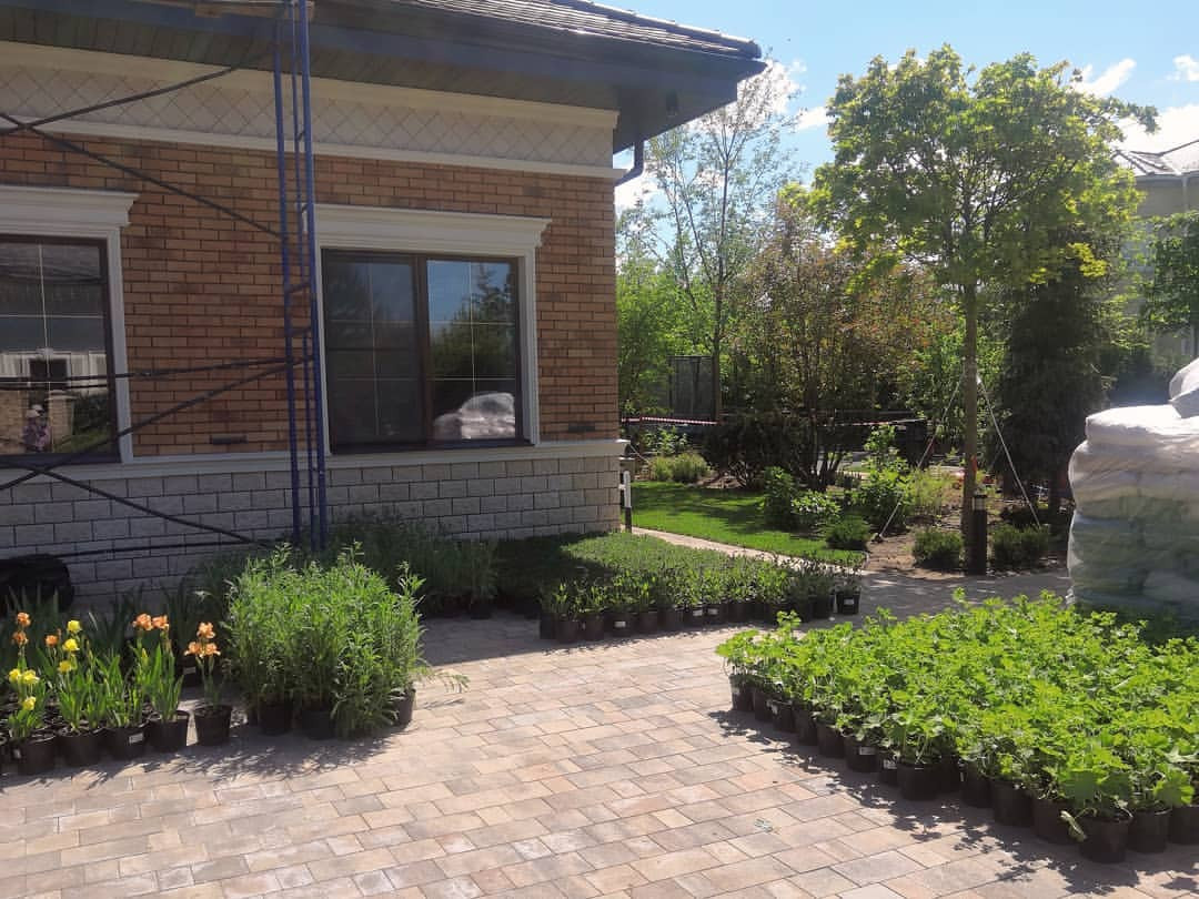 Landscape design of the territory (Moscow region, Montevil village)