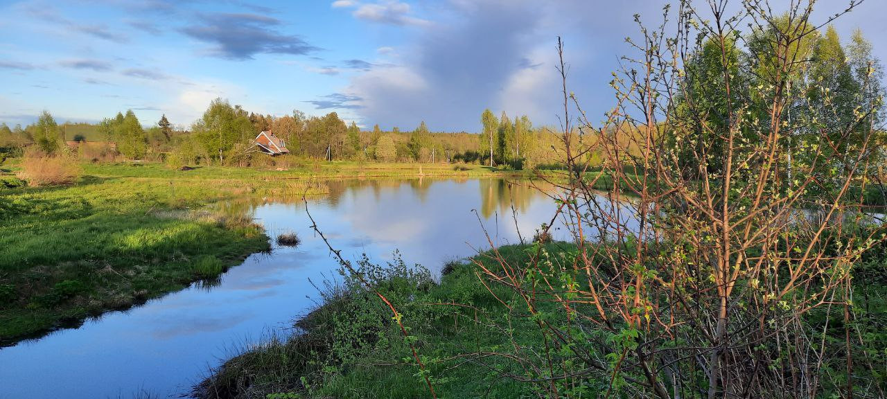 Пермакультурная личная усадьба.