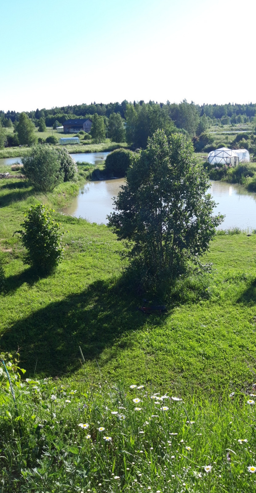 Пермакультурная личная усадьба.