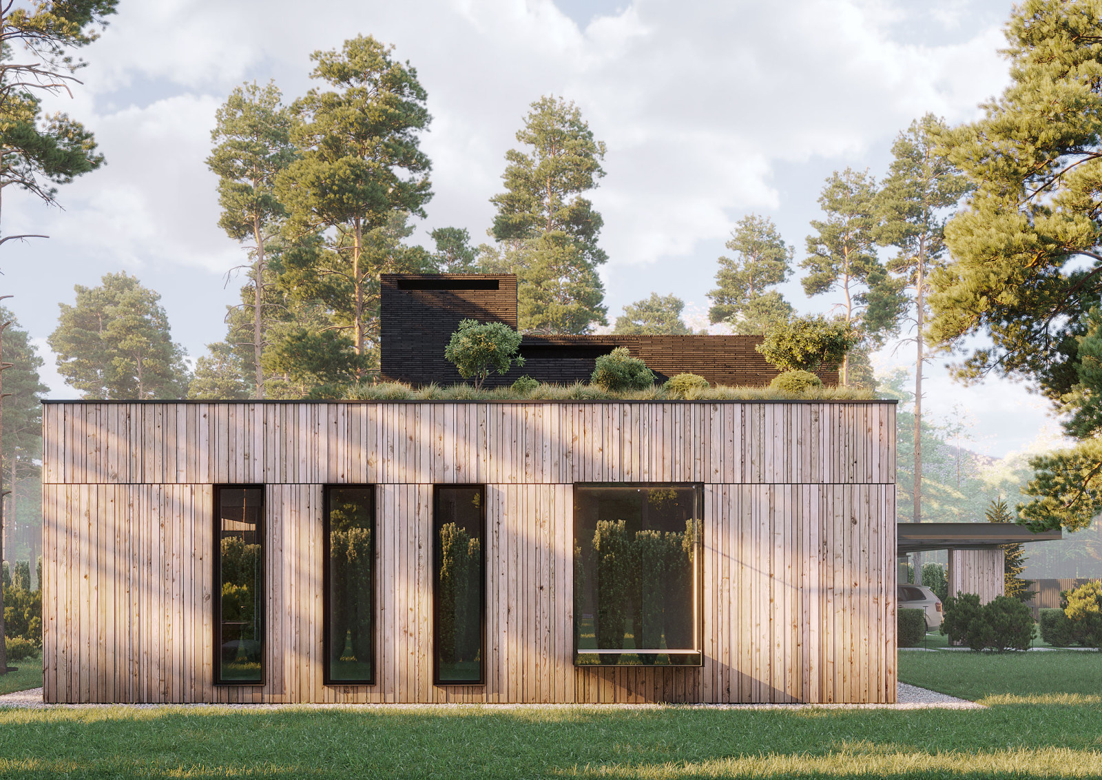 Skandi house