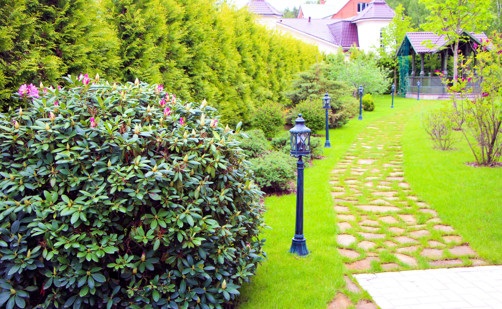 Королев, 2013-2016 гг.