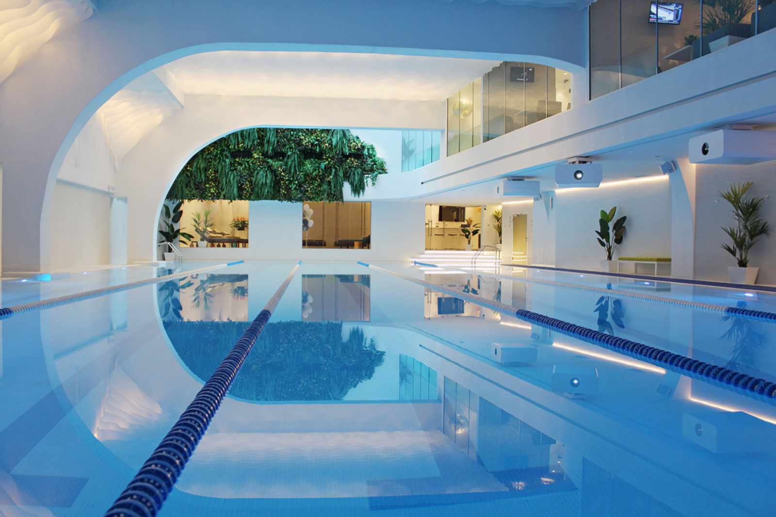 Savoy Wellness
