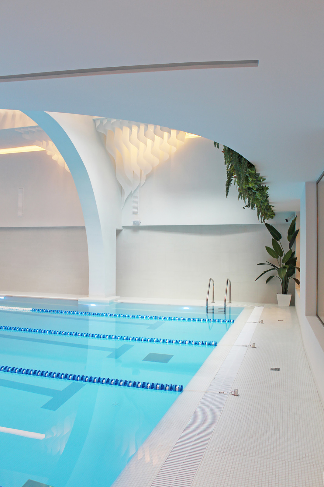 Savoy Wellness