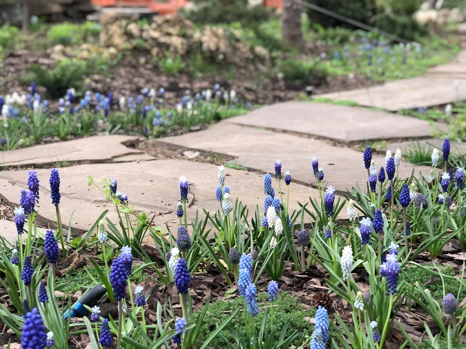 Светлана Финько