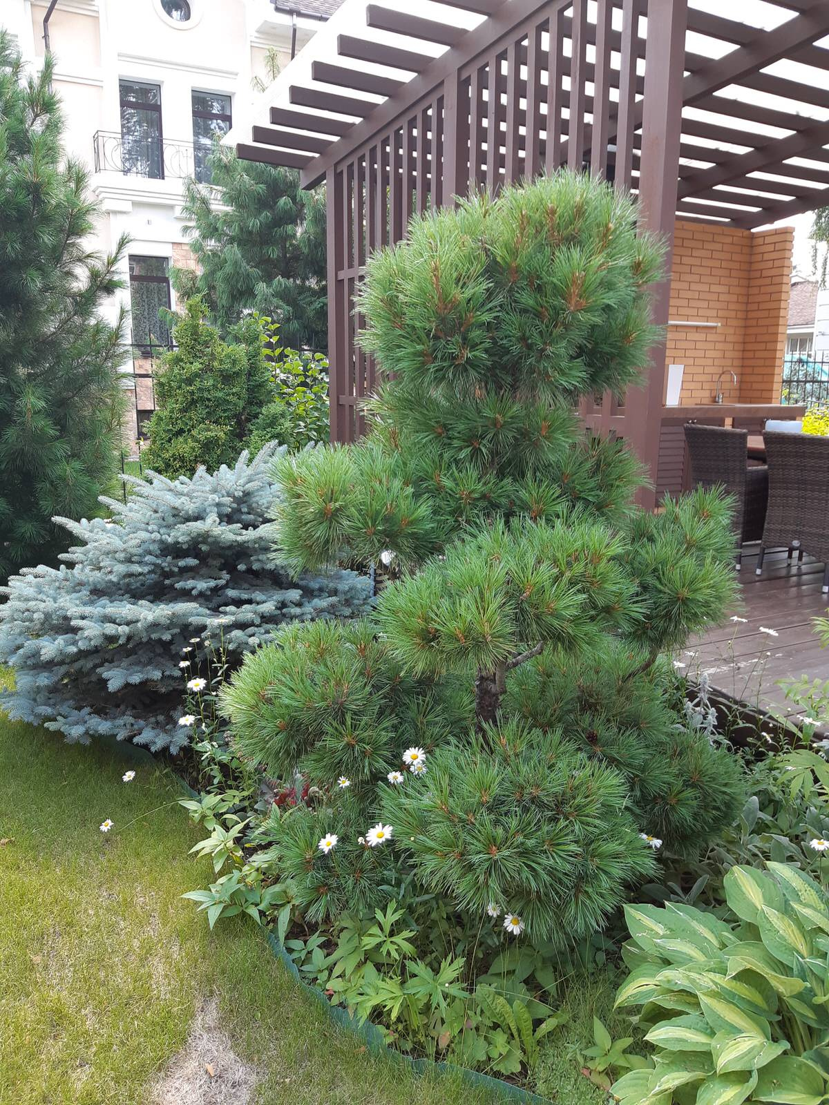 Елена Бабушкина