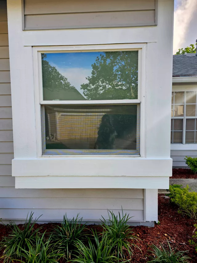 Siding & Windows