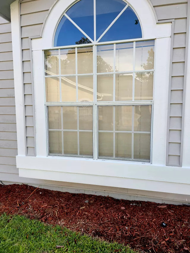 Siding & Windows