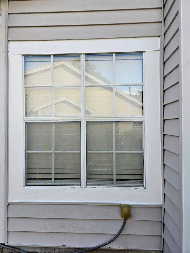 Siding & Windows