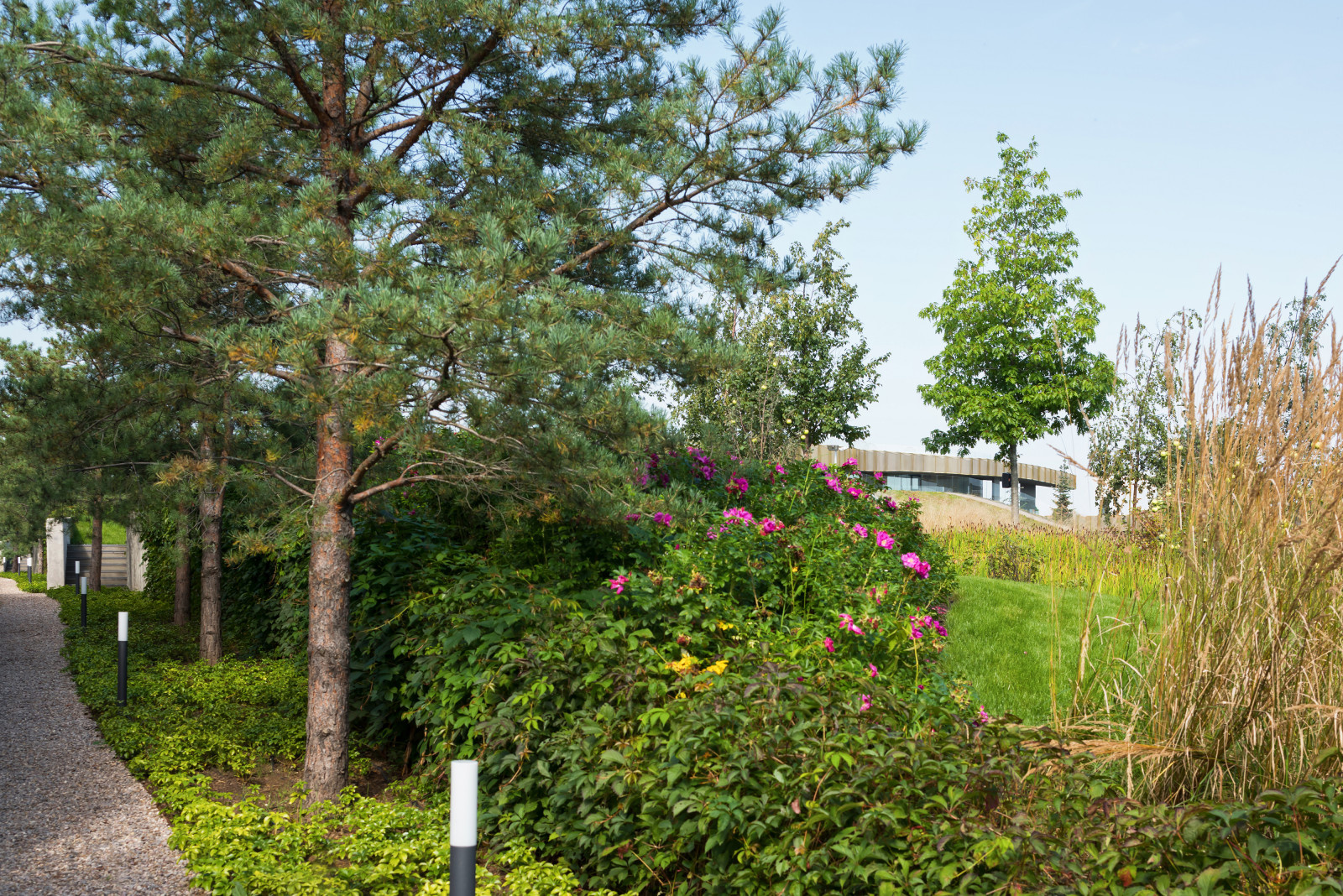NN Residence
