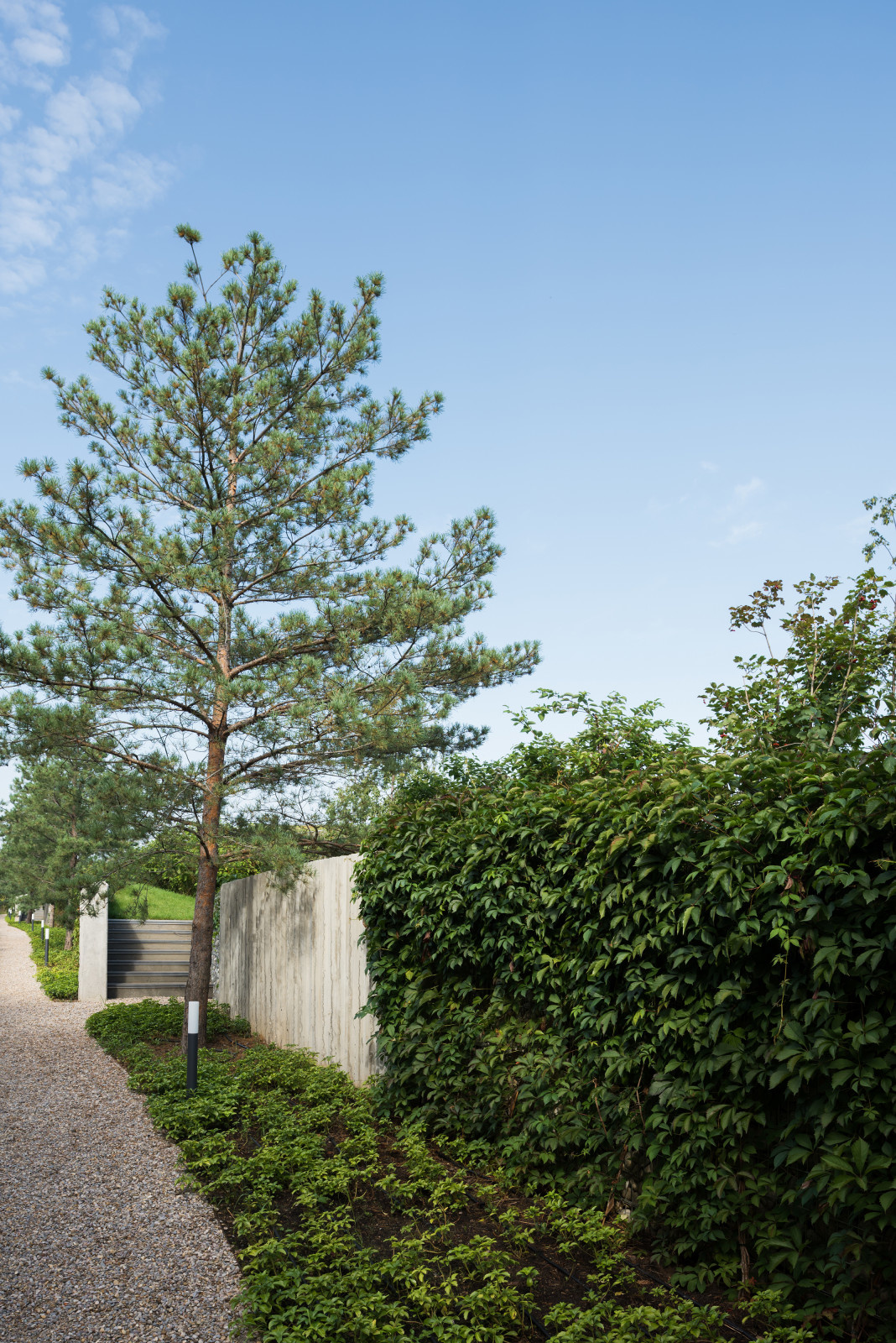 NN Residence