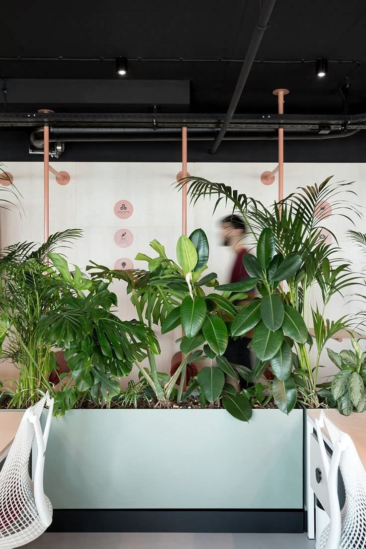 Фоновое изображение профиля Юлия Голубовская