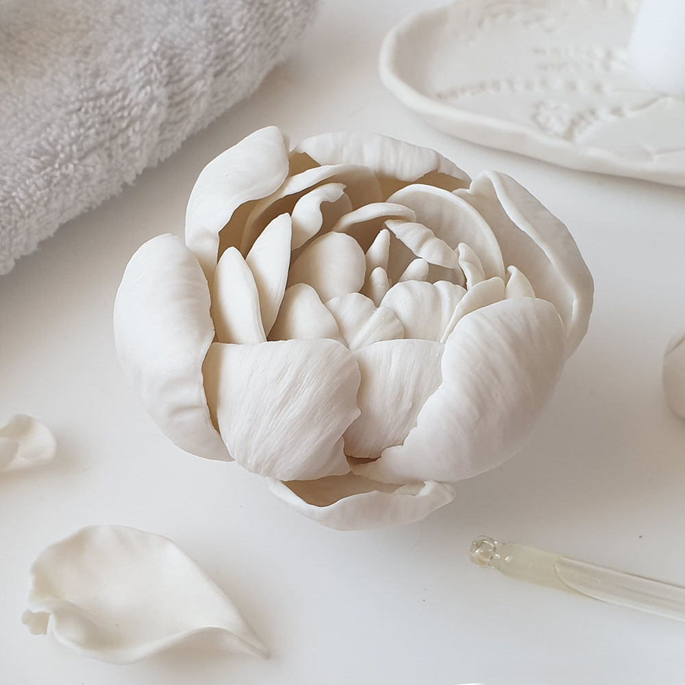 Фоновое изображение профиля Snow petals