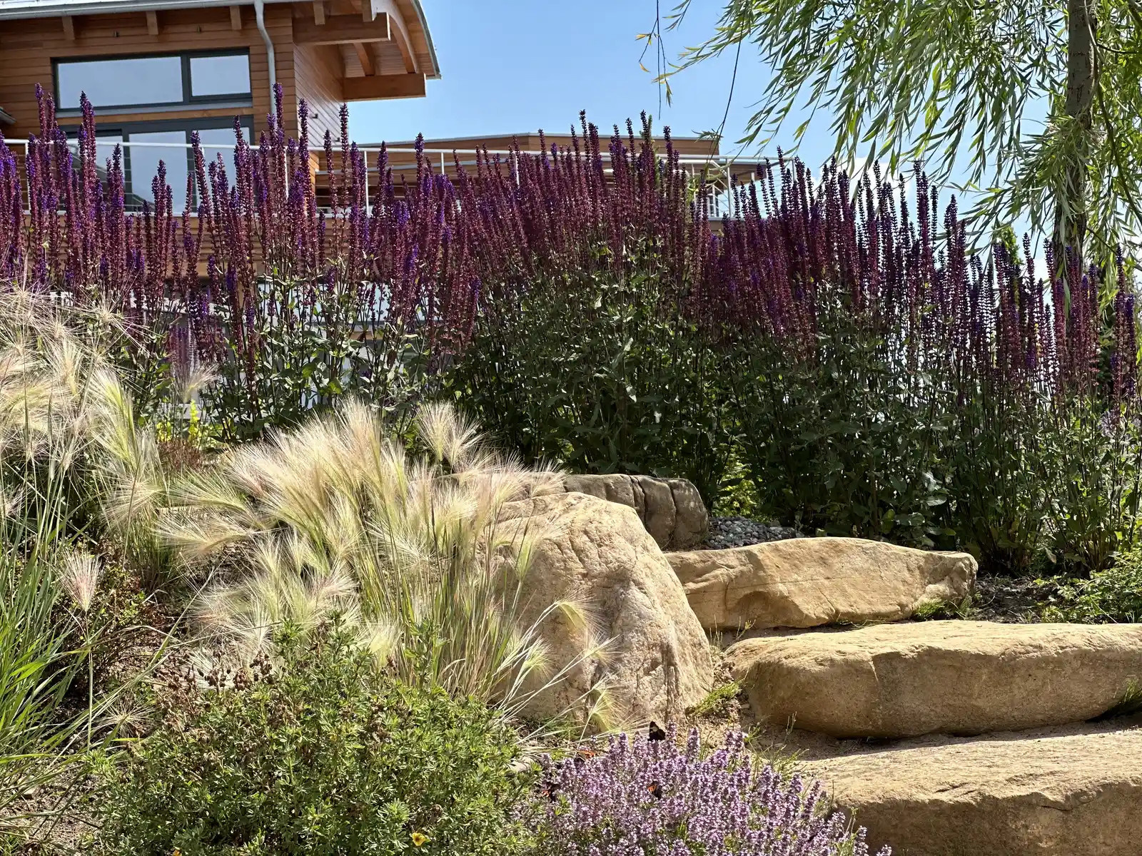 «НА ЗАПОВЕДНЫХ БЕРЕГАХ»