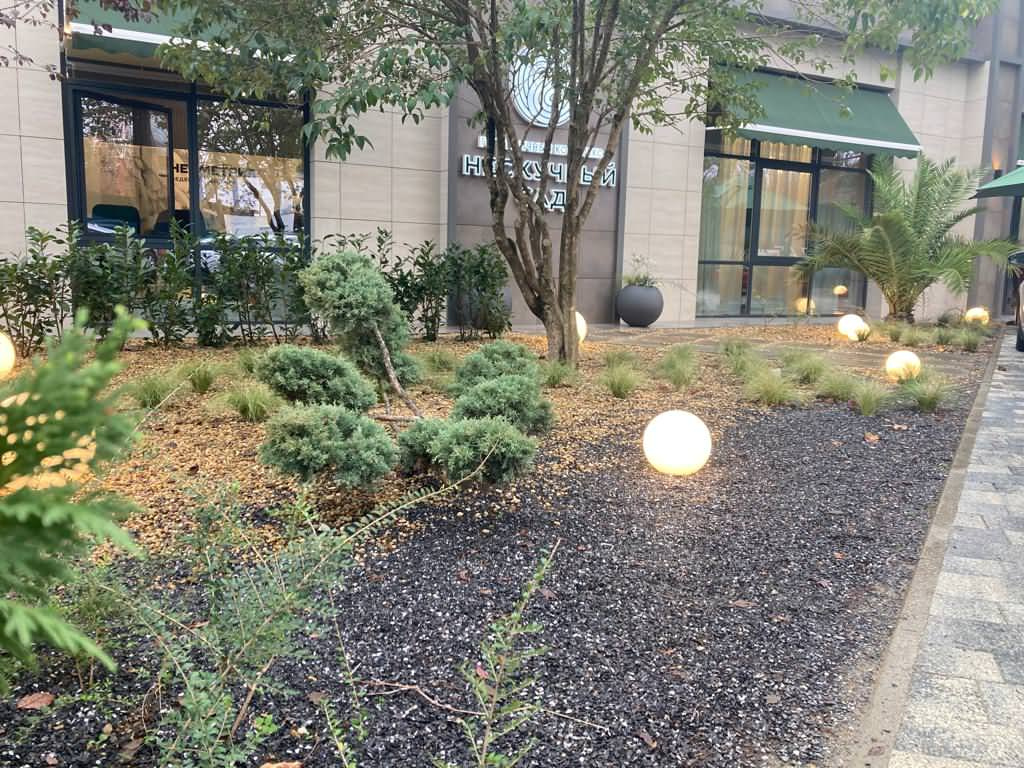 Андрей Башкин