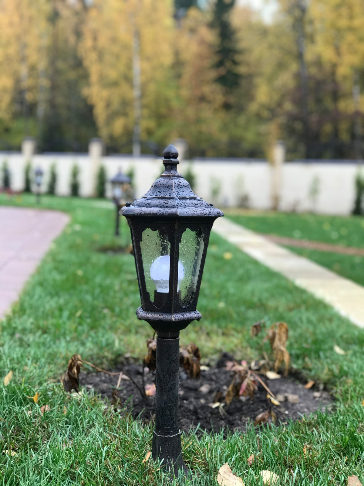 Евгений Зарембовский