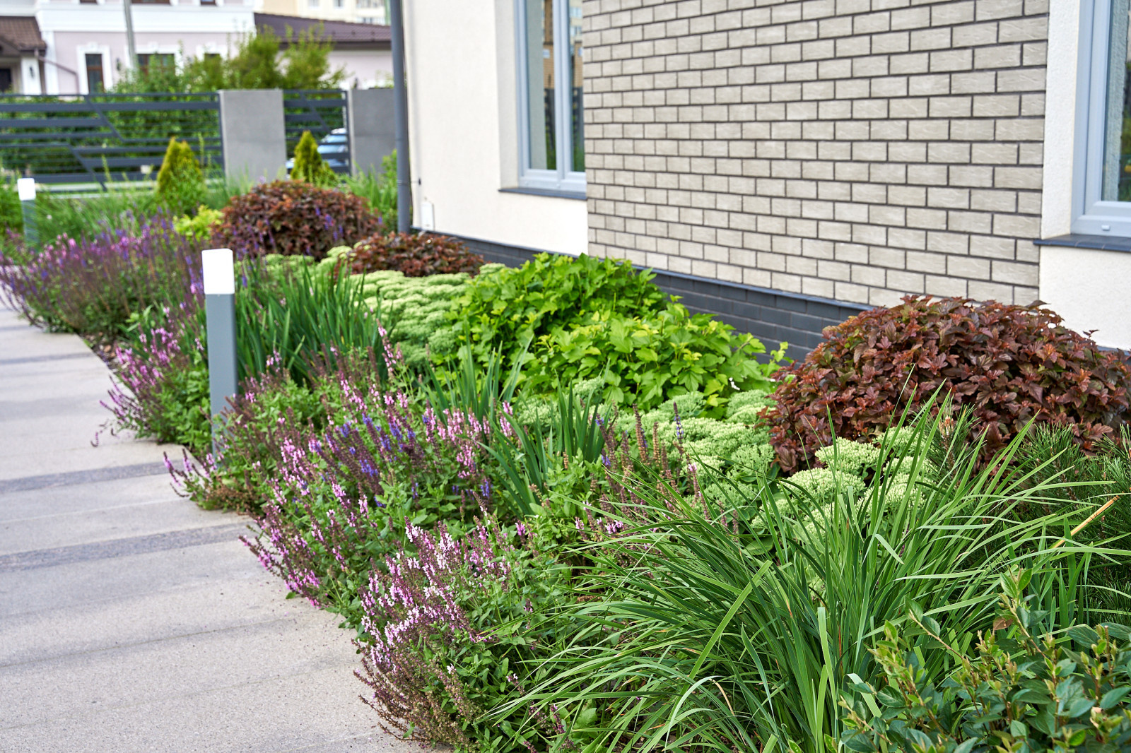 Pure Fresh