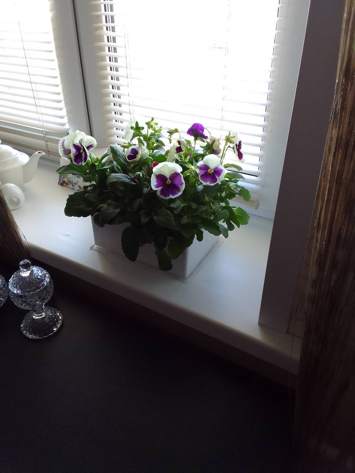 ИП соловей елена евгеньевна