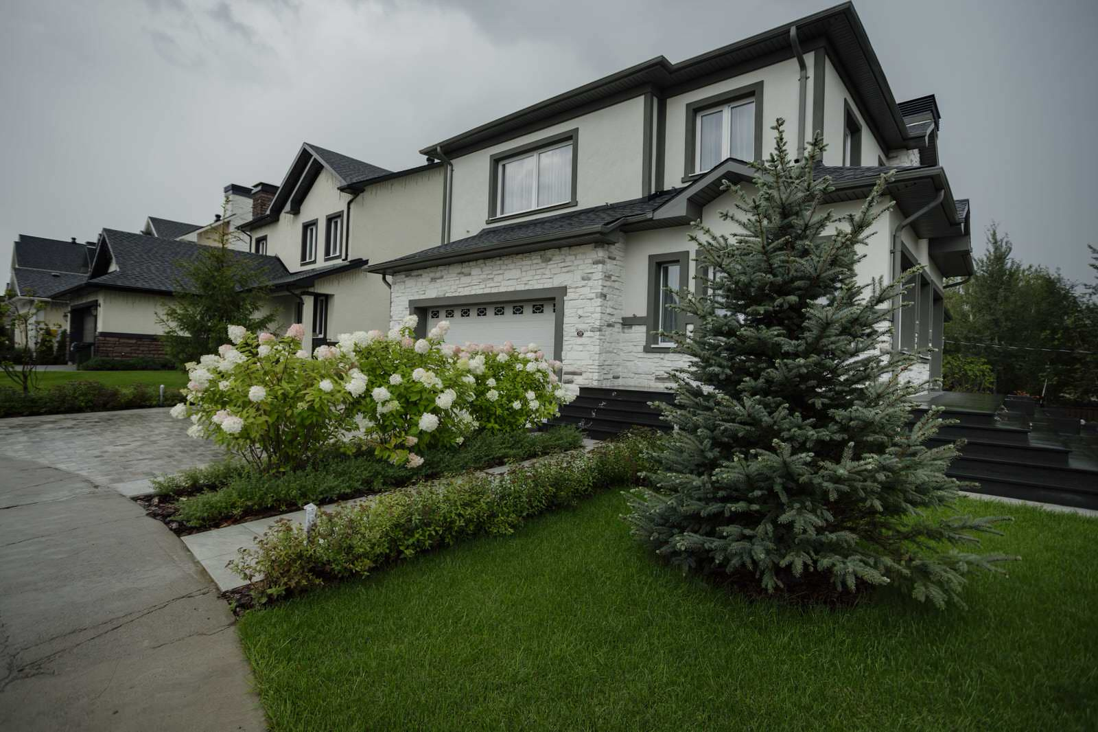 Светлана Шибаева