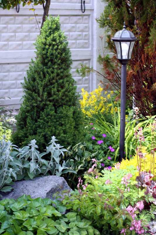 Ольга Минченко