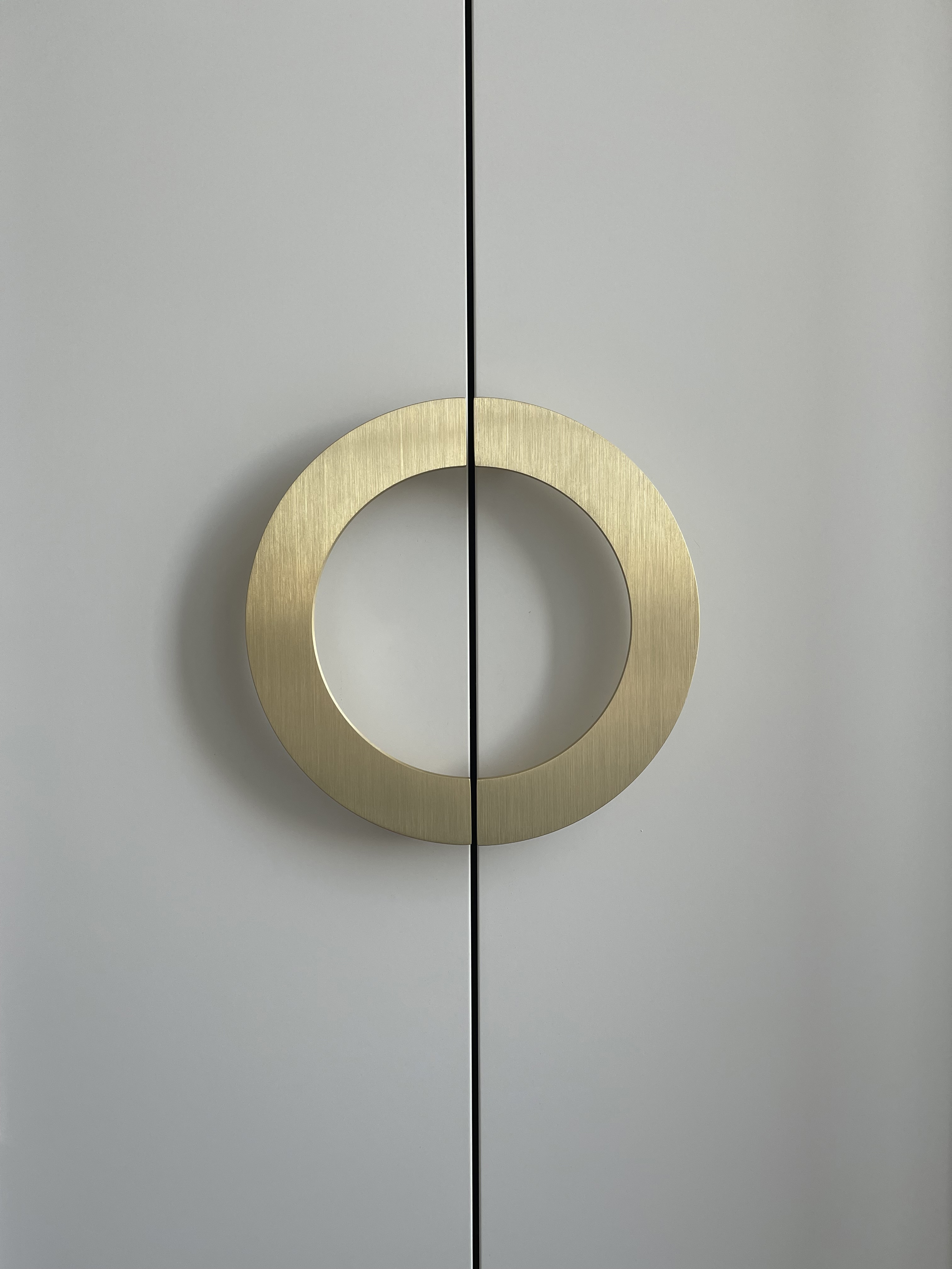 110 ЖК Новая звезда, Москва. Шкафы для гостевой.