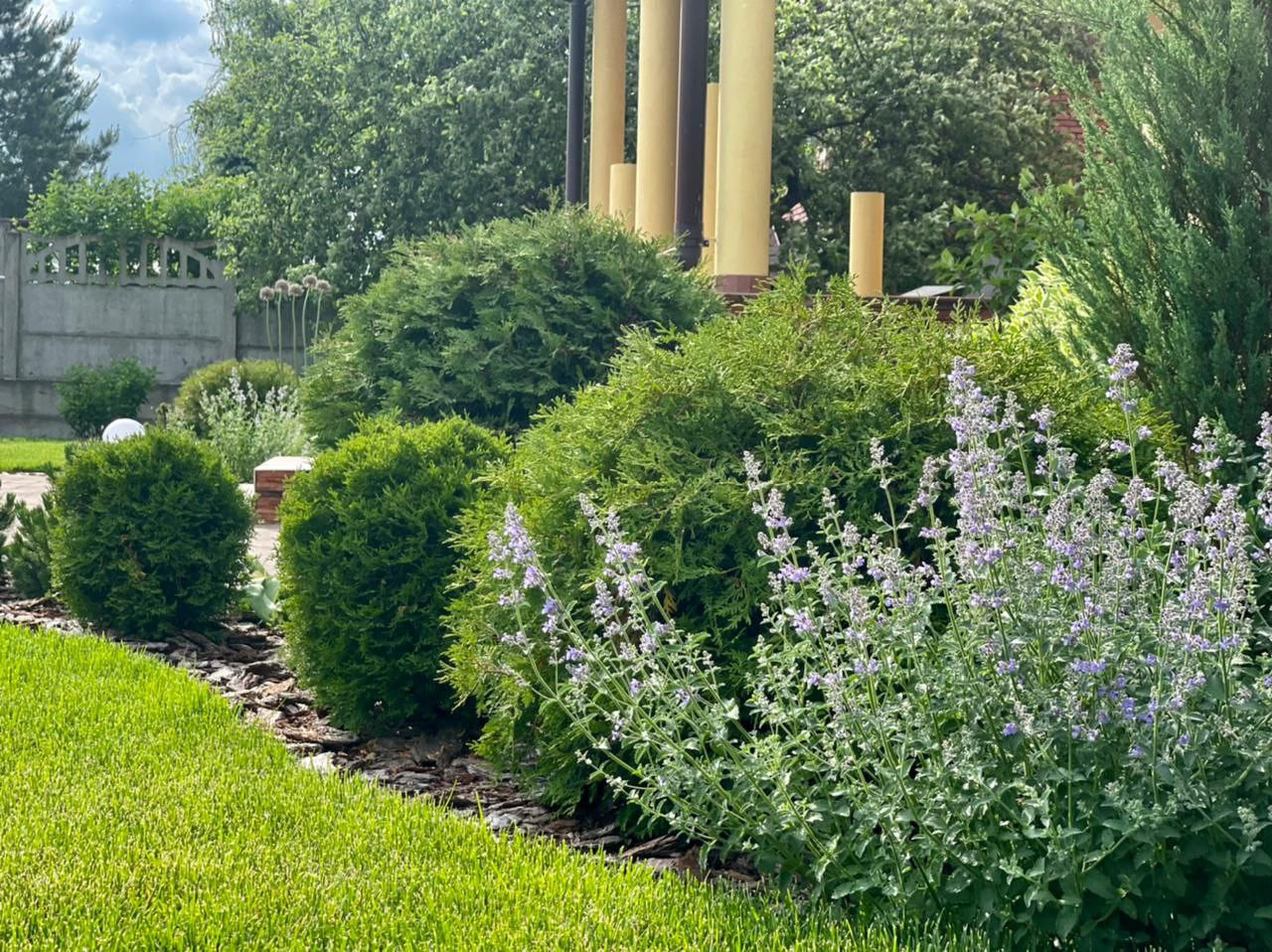 Алла Дроздова